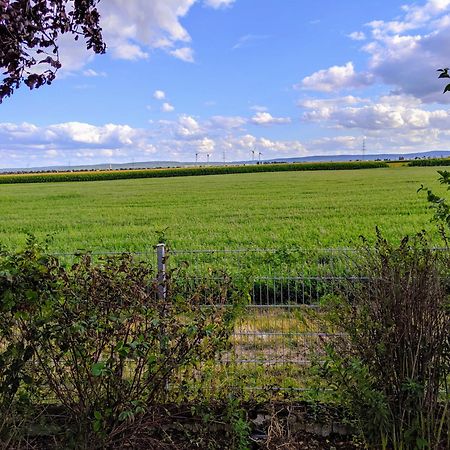Grosse Schoenheit Mit Panoramablick Ойскирхен Екстериор снимка